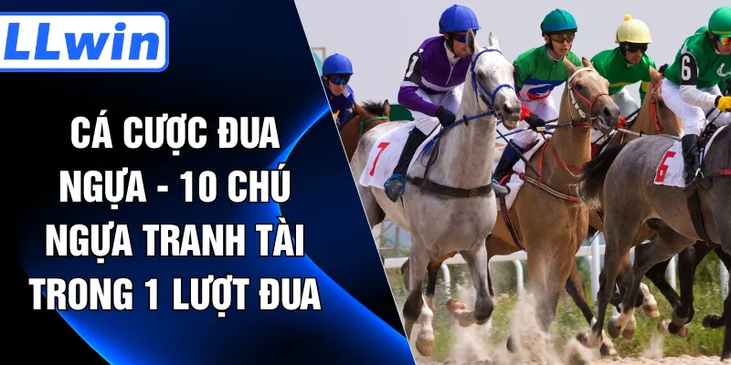 Cá Cược Đua Ngựa - 10 Chú Ngựa Tranh Tài Trong 1 Lượt Đua
