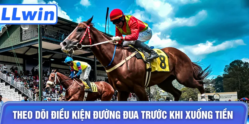 Theo dõi điều kiện đường đua trước khi xuống tiền