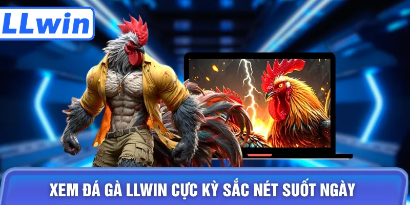 Xem đá gà LLWIN cực kỳ sắc nét suốt ngày